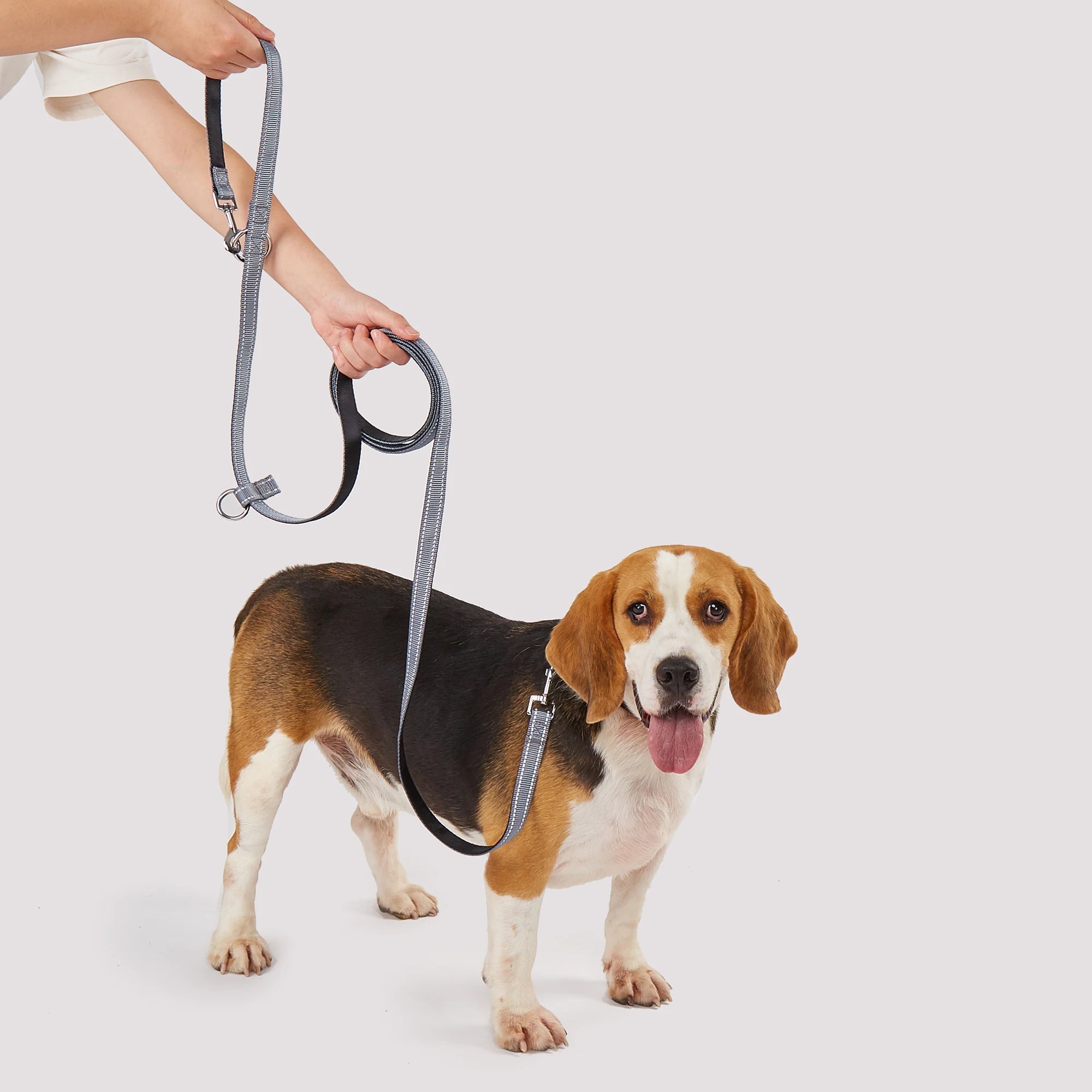 Rubez Multi Leiband™ | Handsfree leiband, ook geschikt voor meerdere honden aanlijnen | 3 Meter!