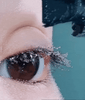Üppige Wimpern-Flair™ | Wimpern anbringen ist jetzt ganz einfach | 1 + 1 KOSTENLOS